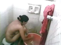 জেসন বাল্টিমোর বেঙ্গ ...