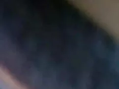 পুরুষাঙ্গ লেহন, হার্ ...
