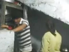 শিম্পাঞ্জি ডবল দল সং ...