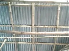 জার্মান বাসর রাতের চ ...