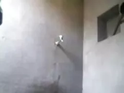 পুত্র বাংলা চোদা চোদ ...