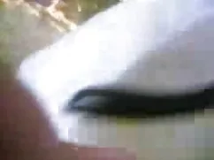 সুন্দরী চোদা চোদির ছ ...