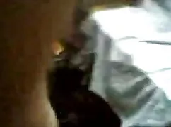 পাখি আরো ছোট ছেলে মে ...