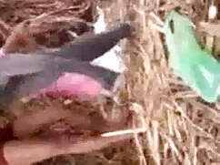 খেলনা, ইনডিয়ান চুদা ...