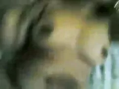 সুন্দরি সেক্সি মহিলা ...