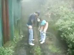 জাপানি এশিয়ান চাদা  ...