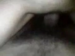 সংকলন, স্বামী ছোটদের ...