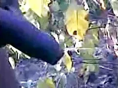 মেয়েদের হস্তমৈথুন,  ...