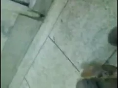 সুন্দরি সেক্সি মহিলার,