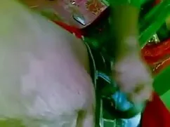সোনা? পর্ণ. শ্যামাঙ্ ...