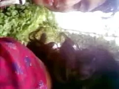 হার্ডকোর, চোদা দুর্দ ...