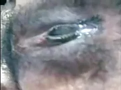 লাল চুলের, চুল, অপেশ ...