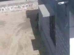 শ্যামাঙ্গিণী, চোদা চ ...