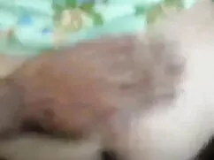 পুরানো-বালিকা চোদা চ ...