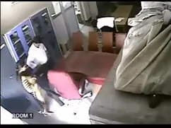 ব্রাজিলীয় ত্রিশূল চ ...